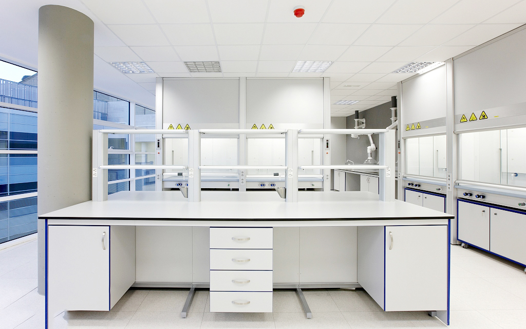 新研究稱腦部真菌感染會產生類似阿爾茨海默病的變化 新研究稱腦部真菌感染會產生類似阿爾茨海默病的變化