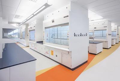 市場監(jiān)管總局辦公廳關(guān)于打擊食品中非法添加比沙可啶及其系列衍生物違法行為的通知